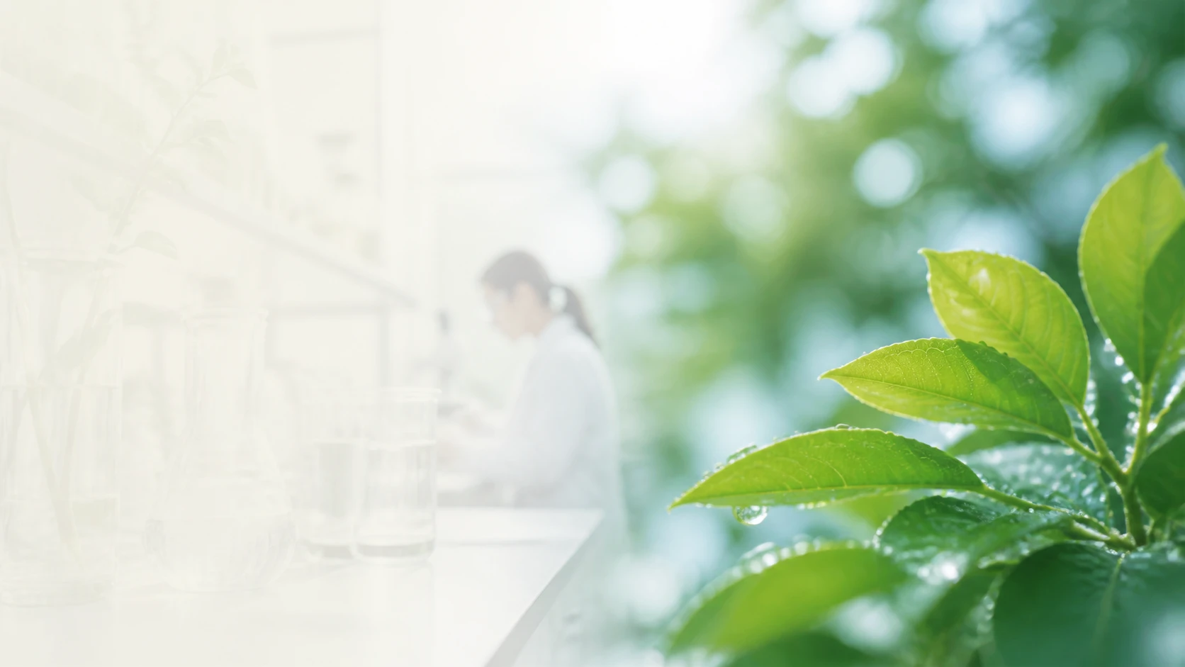 Responsible professional chemistry developed in a bright nature-connected laboratory